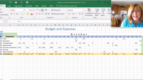 Thumbnail for entry Budget&amp;Expenses Week 6 (3)
