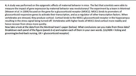 Thumbnail for entry Epigenetics Question 4