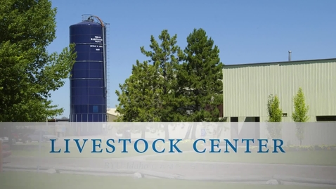 Thumbnail for entry Livestock Center