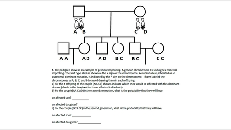 Thumbnail for Epigenetics Question 1