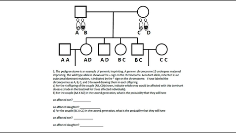 Thumbnail for entry Epigenetics Question 1