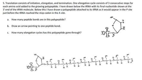 Thumbnail for Translation Question #6