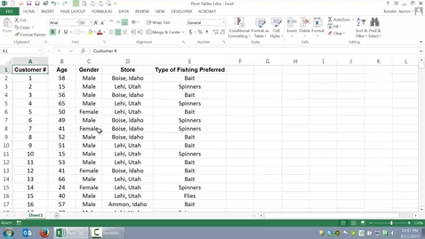 Thumbnail for Pivot Tables I