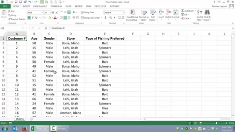 Thumbnail for entry Pivot Tables I