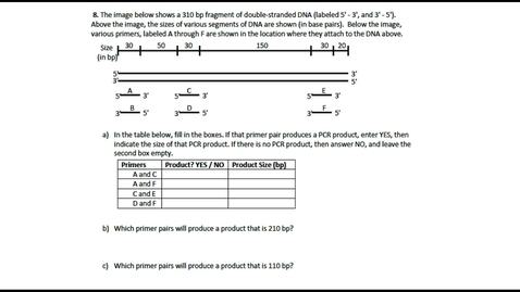 Thumbnail for PCR Question 8