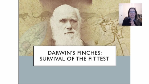 Thumbnail for W07 Summary