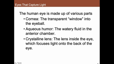Thumbnail for How Eyes Work 2