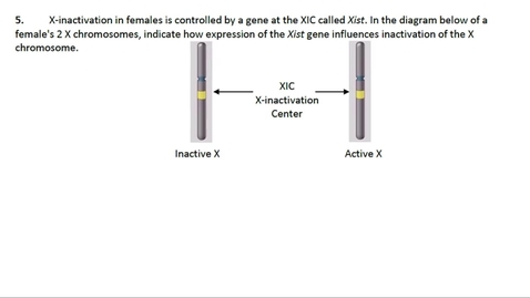 Thumbnail for entry Chromosome Compaction Question 5