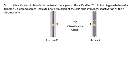 Thumbnail for Chromosome Compaction Question 5