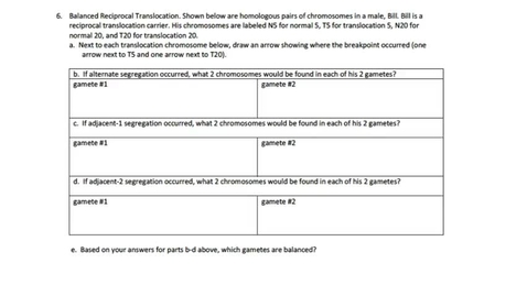 Thumbnail for entry Chromosome Variation #6