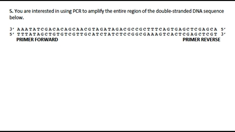 Thumbnail for PCR Question 5