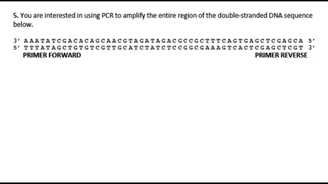 Thumbnail for entry PCR Question 5