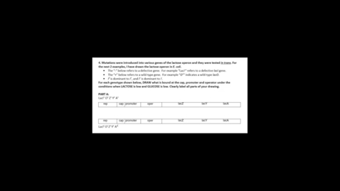 Thumbnail for Lac Operon Question 4