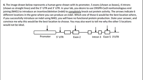 Thumbnail for W10 Capstone Solutions: Genome Editing #4