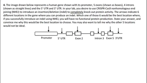 Thumbnail for entry W10 Capstone Solutions: Genome Editing #4