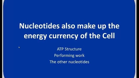 Thumbnail for BIO180 Topic 11 - Nucleic Acids - Part 5