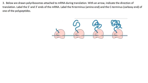 Thumbnail for Translation Question #3