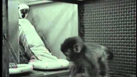 Thumbnail for Harlow's Studies on Dependency in Monkeys