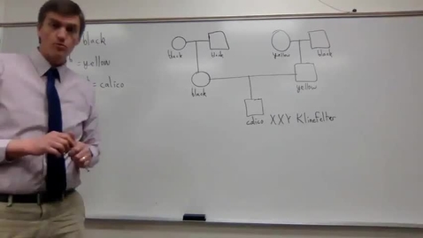 Thumbnail for entry Chromosome Variation #5