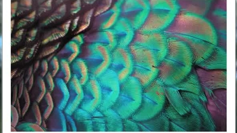 Thumbnail for W12 Diffraction