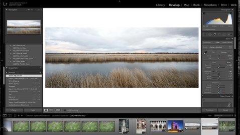 Thumbnail for 08 Lightroom -  Advanced Selective Adjustments