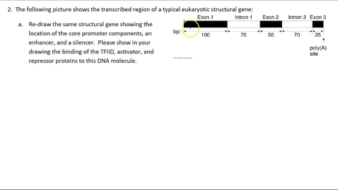 Thumbnail for entry RNA Modifications Question 2