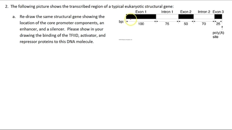 Thumbnail for RNA Modifications Question 2