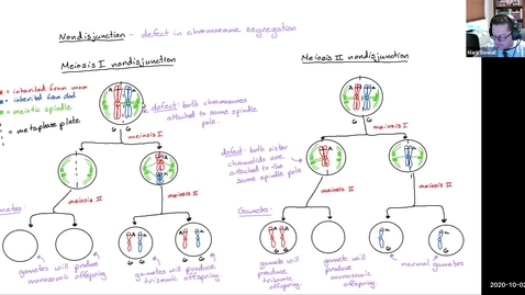 Thumbnail for Chromosome Variation Part 3