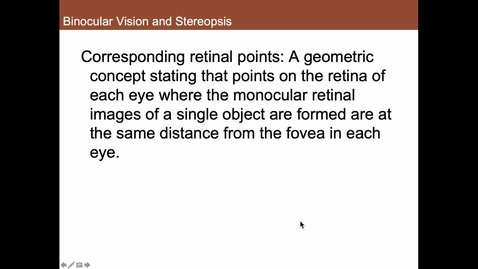 Thumbnail for entry Binocular Vision and Stereopsis