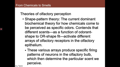 Thumbnail for entry Shape-Pattern vs Vibrational Theory