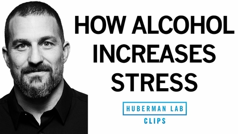 Thumbnail for entry How Alcohol Actually Increases Stress Levels, Rather Than Relaxing You | Dr. Andrew Huberman