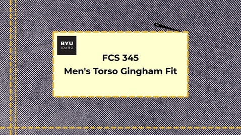 Thumbnail for APD 345 Men's Torso Gingham Fit