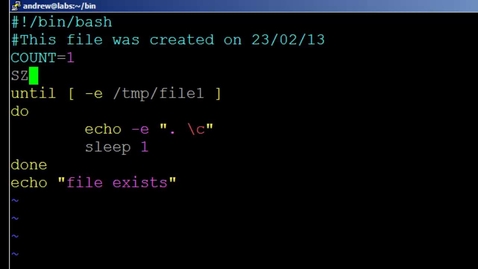 Thumbnail for BASH Scripting Lesson 6: Using UNTIL Loops