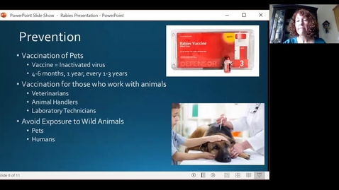 Thumbnail for Rabies Disease Presentation