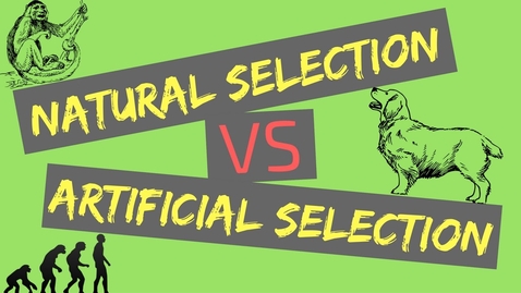 Thumbnail for Natural Selection vs Artificial Selection | Mechanisms of Evolution