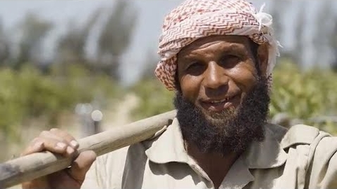 Thumbnail for Egypt: Tackling Food Waste and Loss