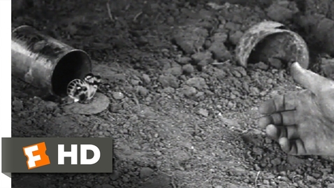 Thumbnail for The Butterfly - All Quiet on the Western Front (10/10) Movie CLIP (1930) HD