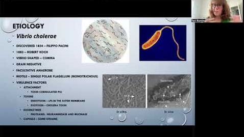 Thumbnail for Cholera Disease Presentation