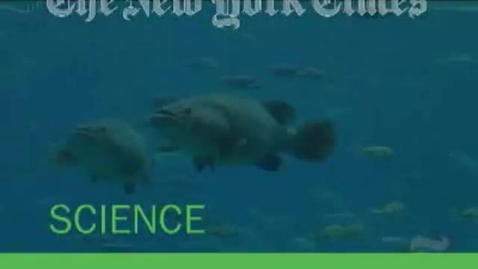 Thumbnail for The Science of Evolution - The New York Times