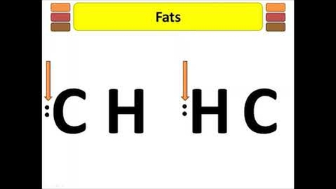 Thumbnail for BIO 180 Lipids