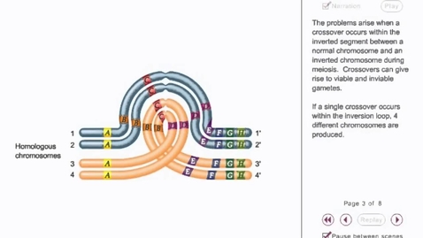 Thumbnail for Crossing over animation