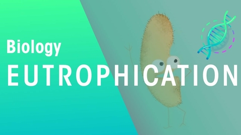 Thumbnail for What Is Eutrophication | Agriculture | Biology | FuseSchool
