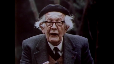 Thumbnail for Piaget’s Developmental Theory- An Overview - Video - Films On Demand