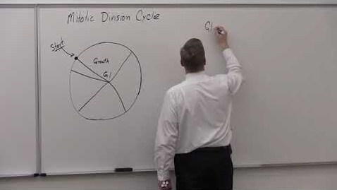 Thumbnail for Cell Division