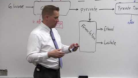 Thumbnail for entry BIO 180 Lecture Oxidation and Reduction