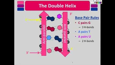 Thumbnail for BIO 180 Nucleic Acids