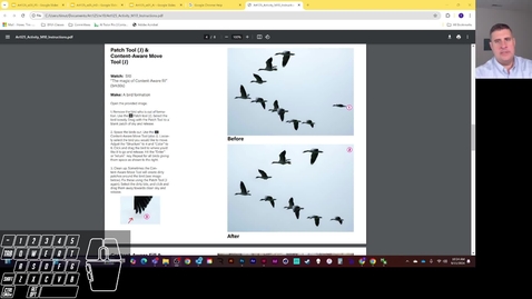 Thumbnail for a125_w10_a_07_p3_Birds