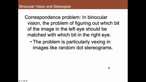 Thumbnail for entry Correspondence Problem and Binocular Vision