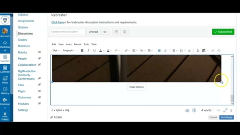 Thumbnail for How to insert a photo image in Canvas discussion board