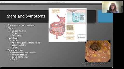 Thumbnail for entry C. diff Presentation